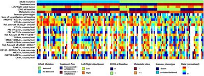 Predictive potential of angiopoietin-2 in a mCRC subpopulation treated with vanucizumab in the McCAVE trial